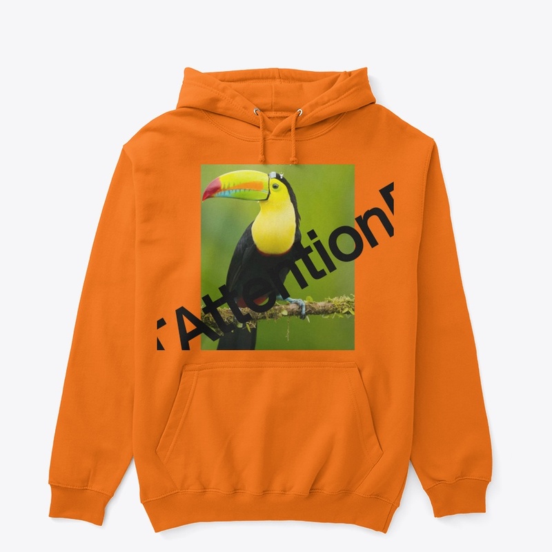 I am king lion graffic designer