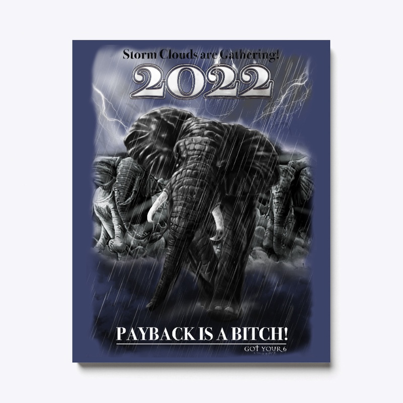 PAYBACK IS A BITCH Canvas Print