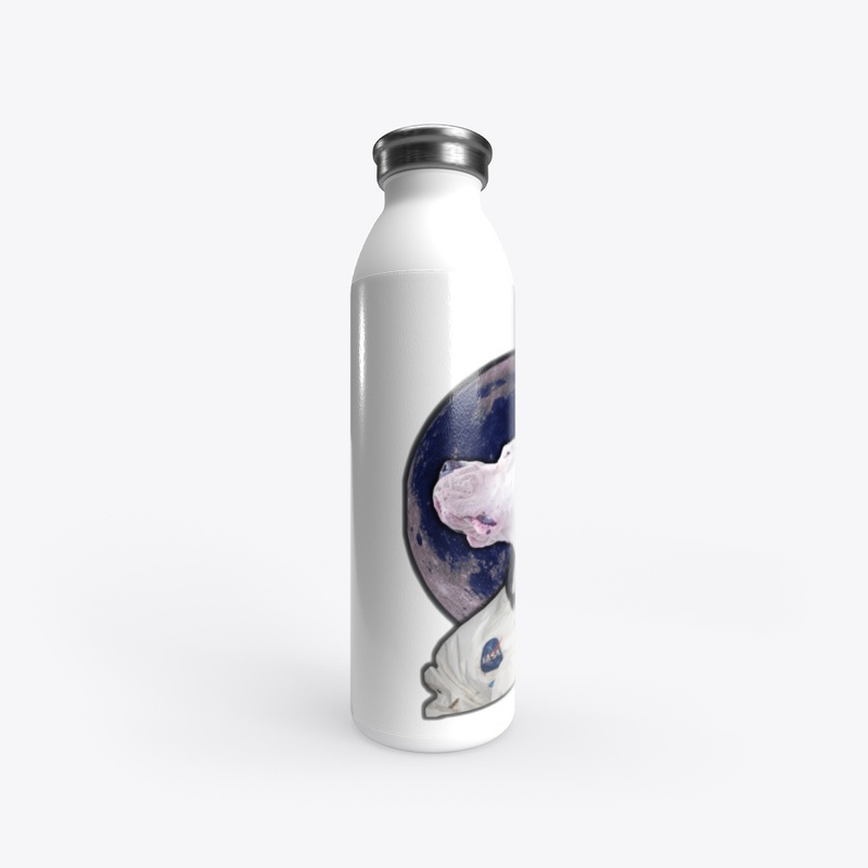 Dogonauts N.3 - To the moon and back