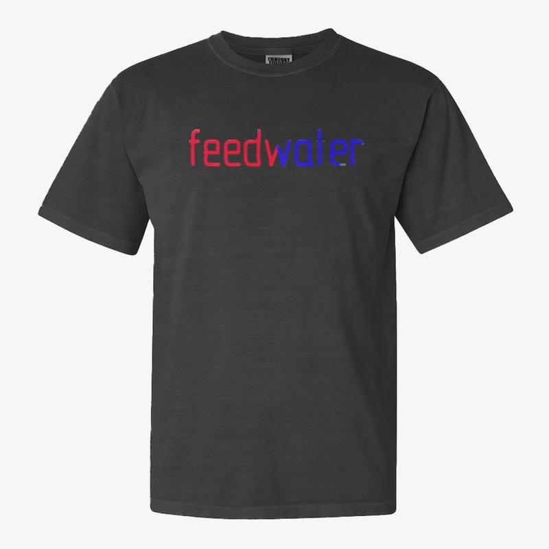 feedwater design