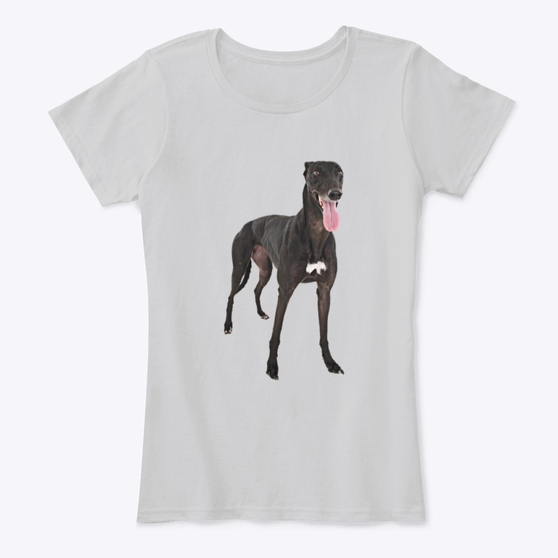 black greyhound dog