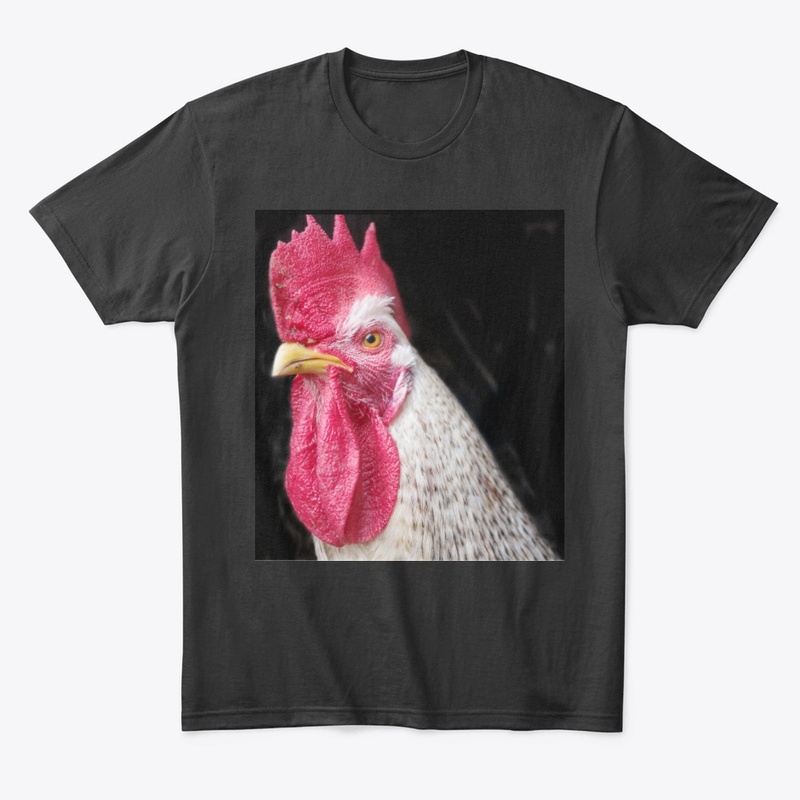 rooster chicken farm animal