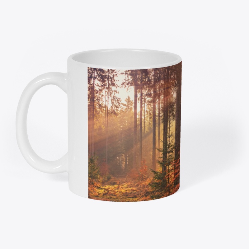 Value12 Sunshine in the forest
