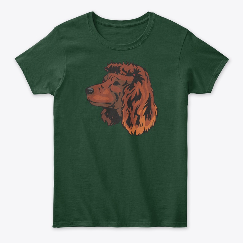 American Water Spaniel