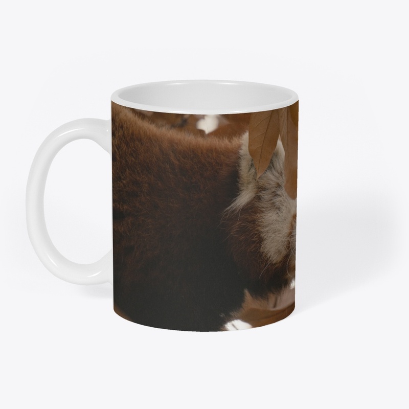 Red Panda