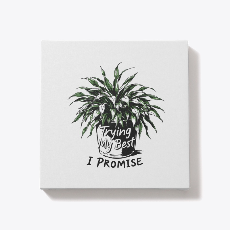 Trying My Best, I Promise
