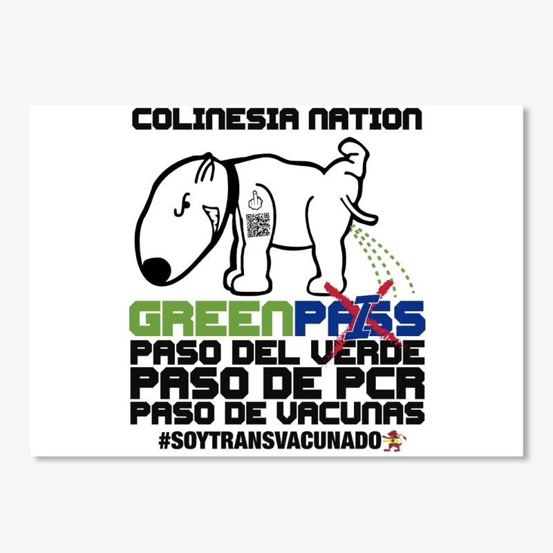 PASO DEL GREEN PASS Y CERTIFICADOS