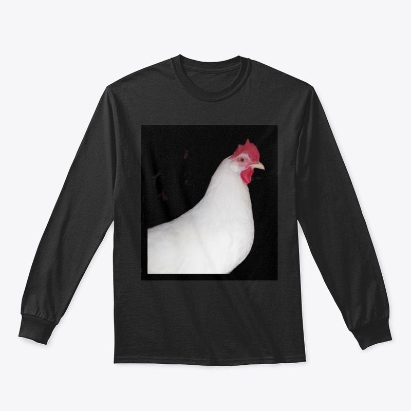 white leghorn hen chicken farm animal