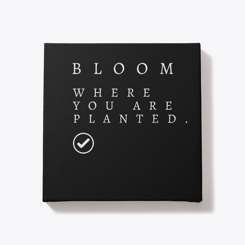 Bloom Where You Are Planted Series 2024