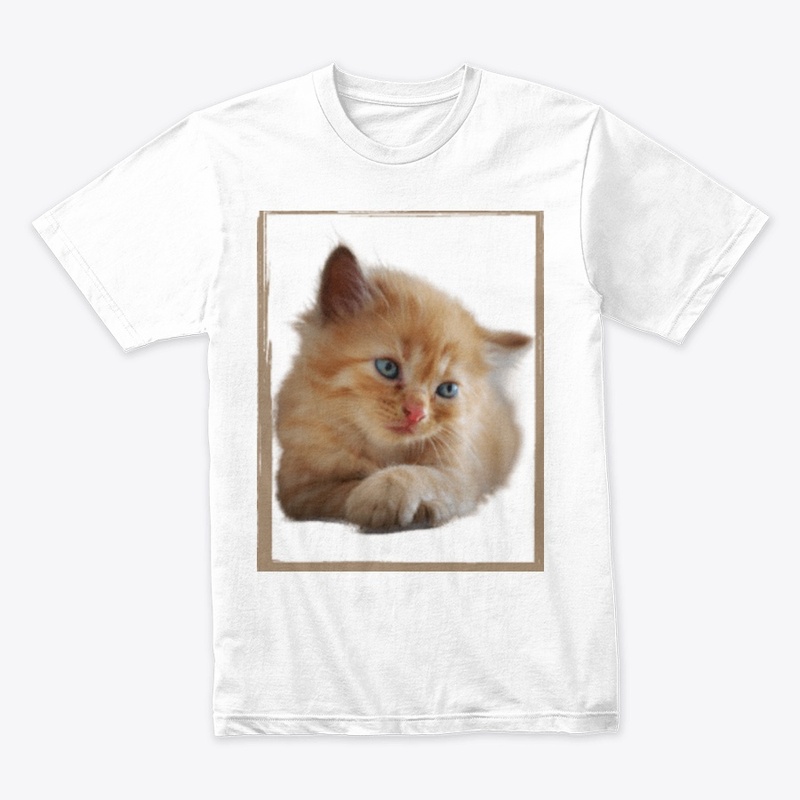  Cutee Cat