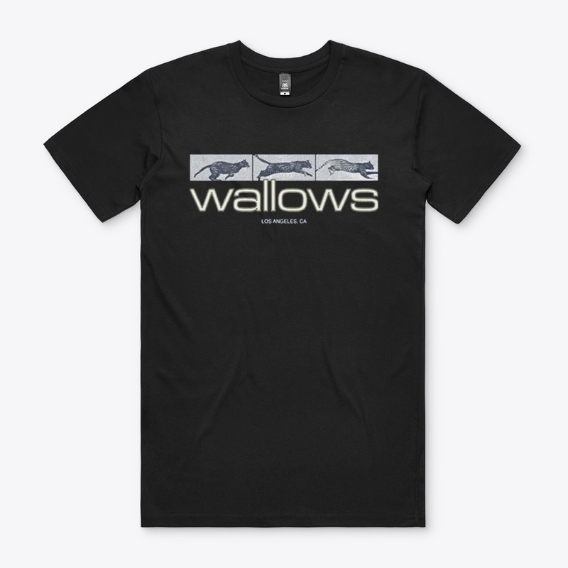 Wallows Merch