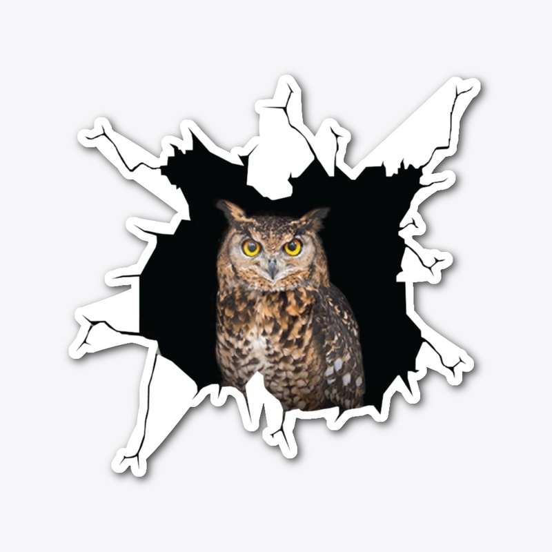 Funny Owl