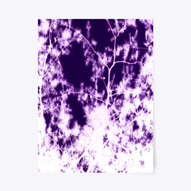 white on purple