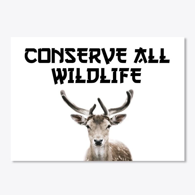 Deer Sticker World Of Wildlife