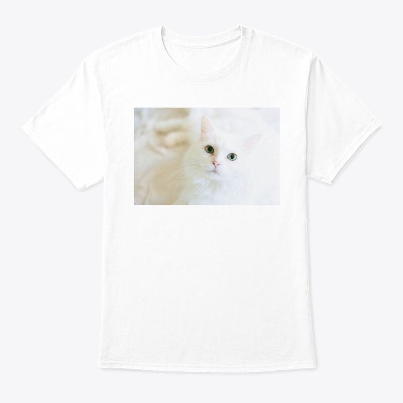 White cat
