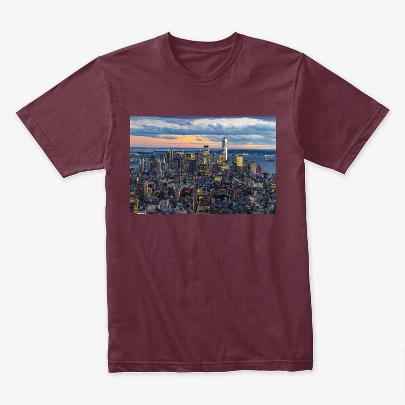 New York City View 