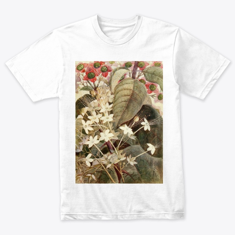 Clerodendron