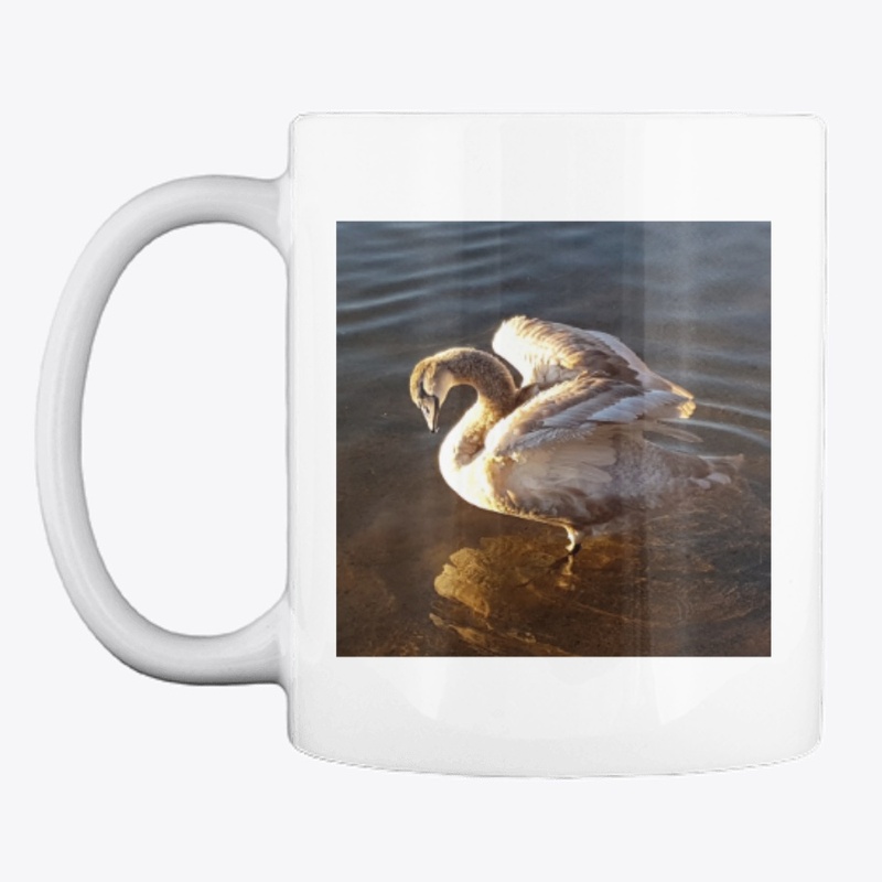 Stockholm Swan 3
