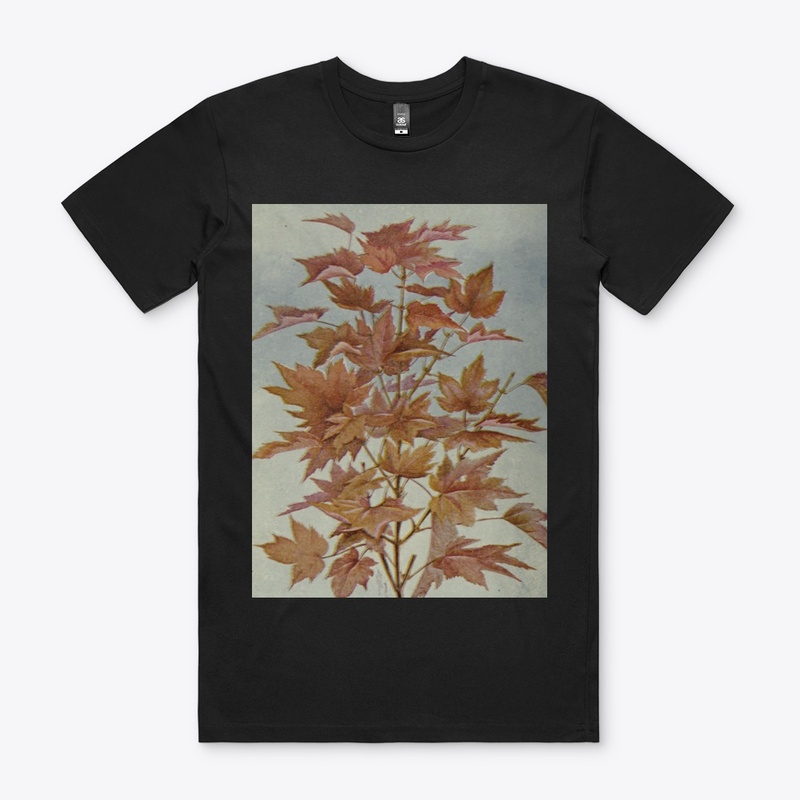 Fall Red Maple