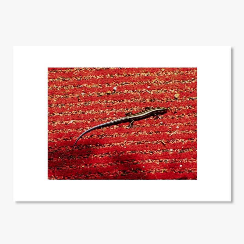 lizard on rug