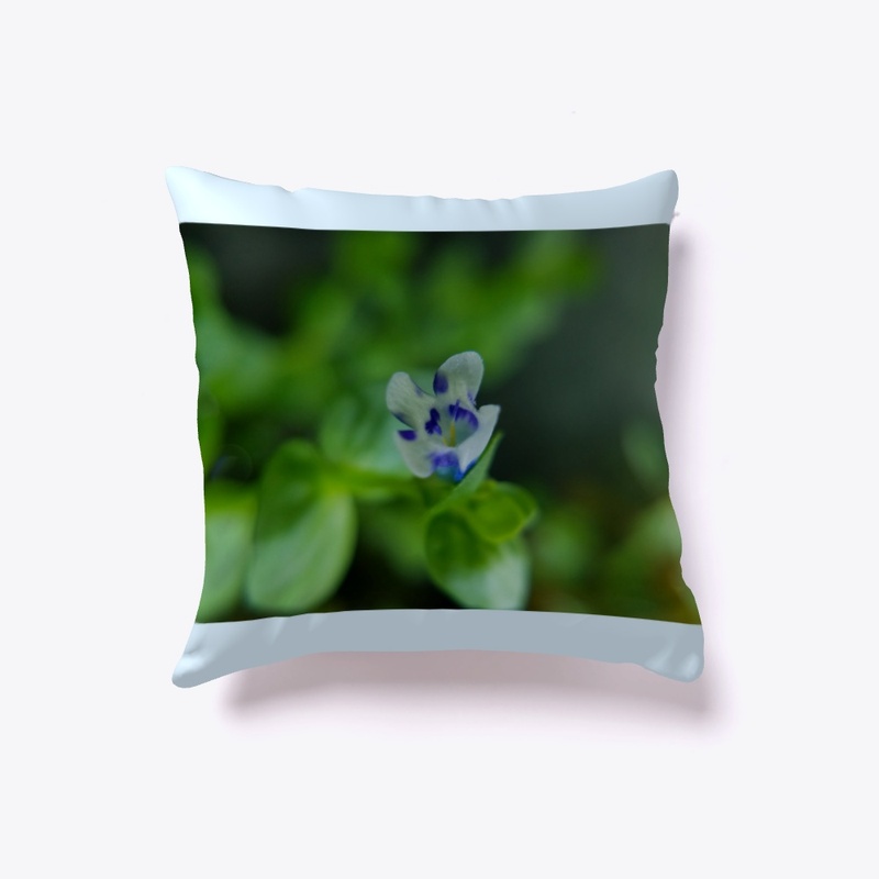 Lindernia Rotundifolia Flower Pillow!