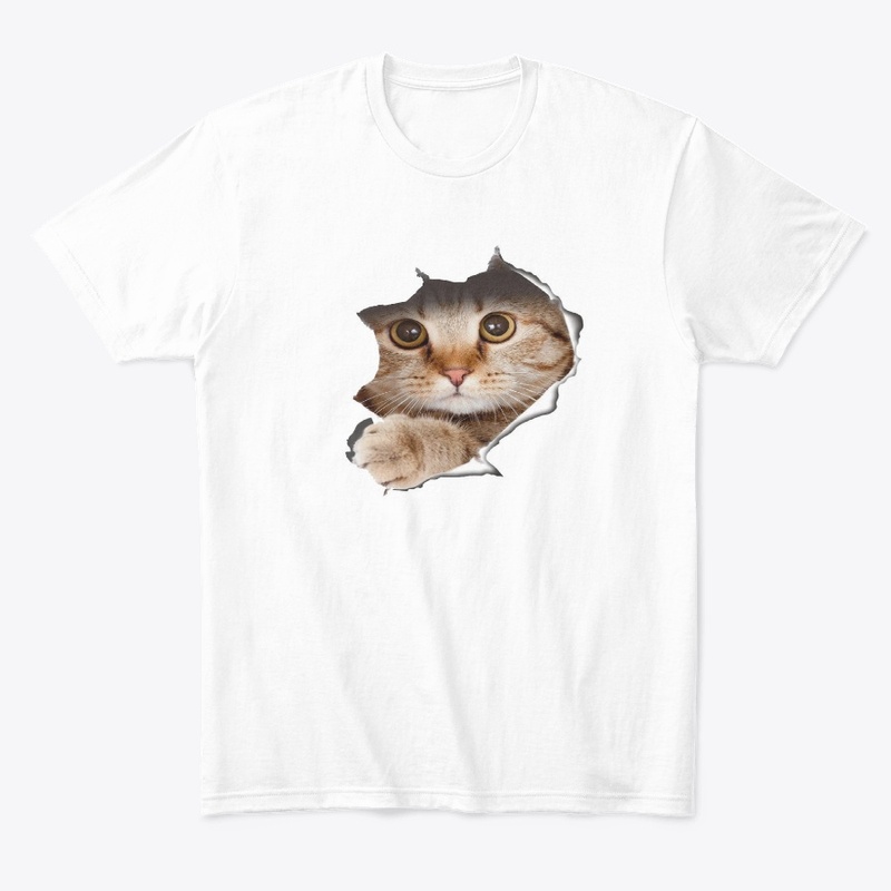 CAT IS COMING OUT