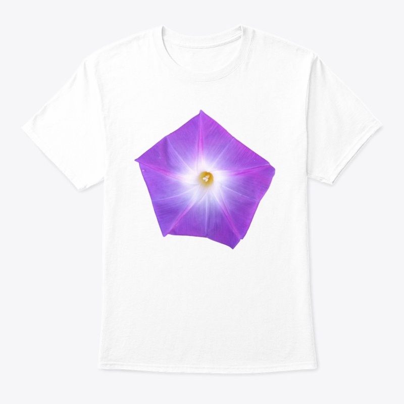 Magnificent Morning Glory