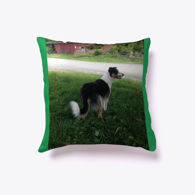 The working dog