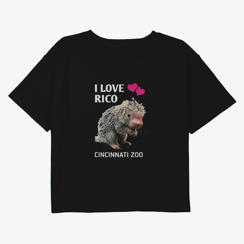 Limited Edition 0210255