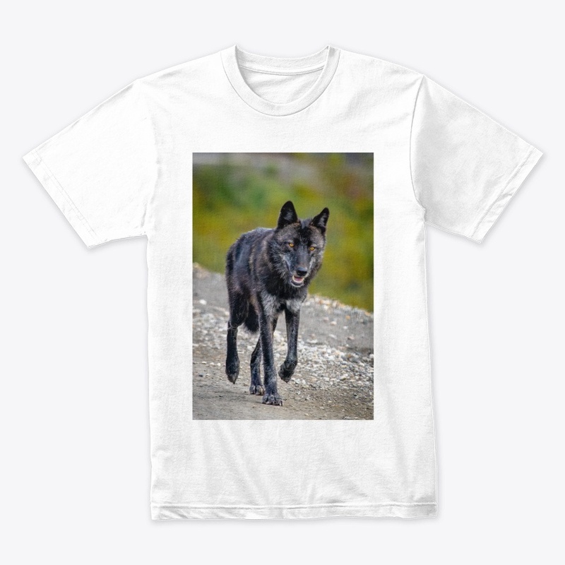 Black Wolf Denali