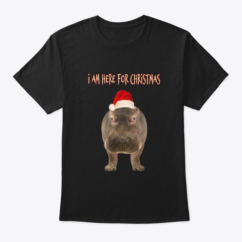 I am here for Christmas