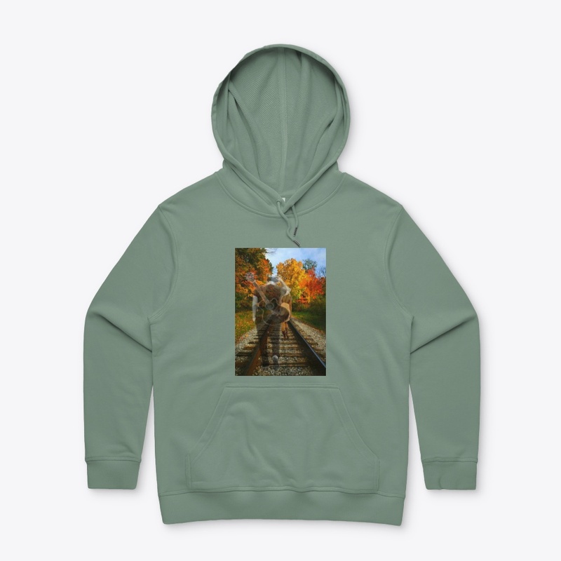 Tracks