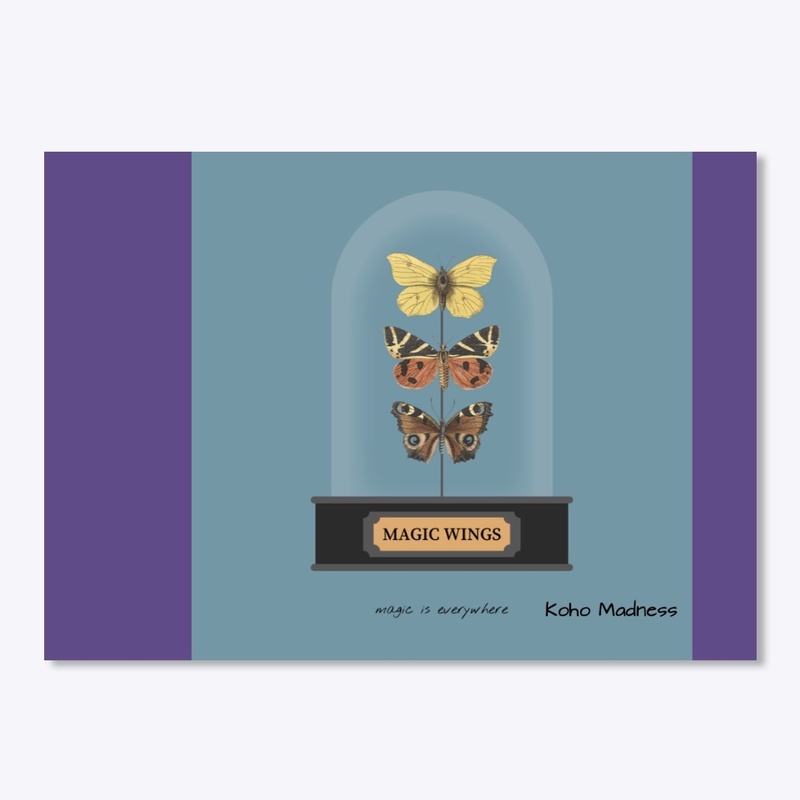magic wings accessories home
