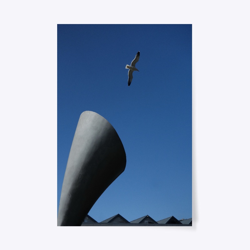 Soaring Seagull