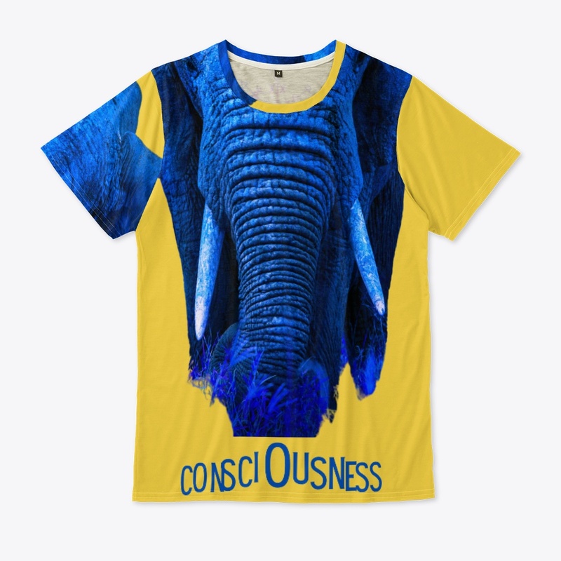 The Blue Elephant of Consciousness
