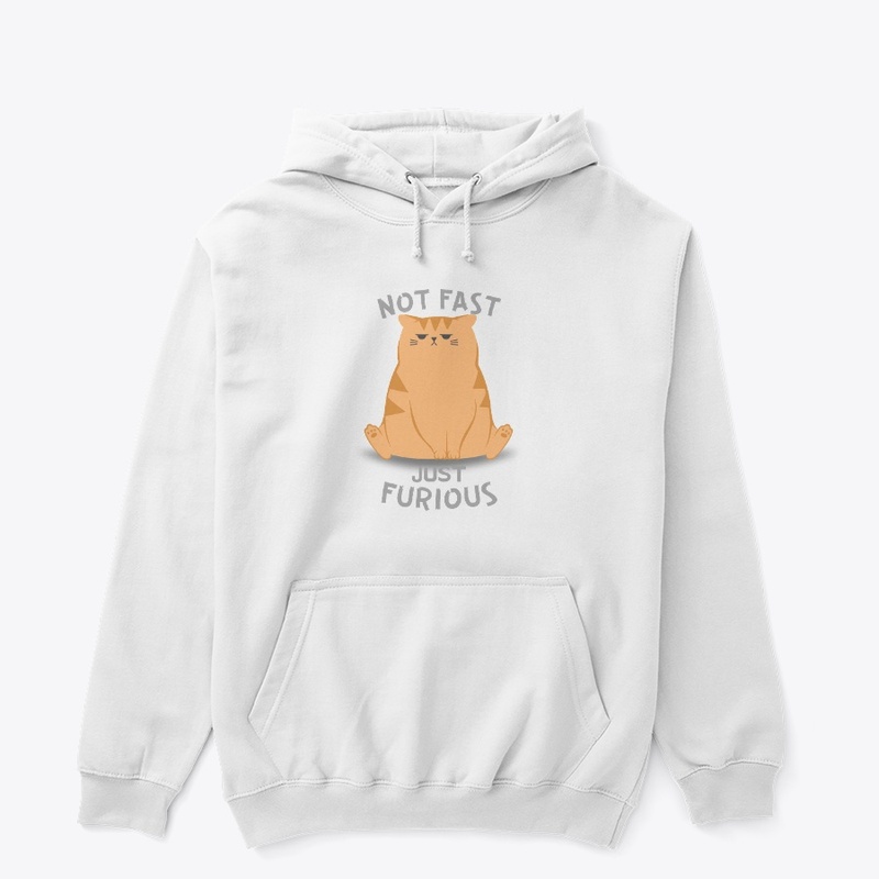 Not Fast Just Furious