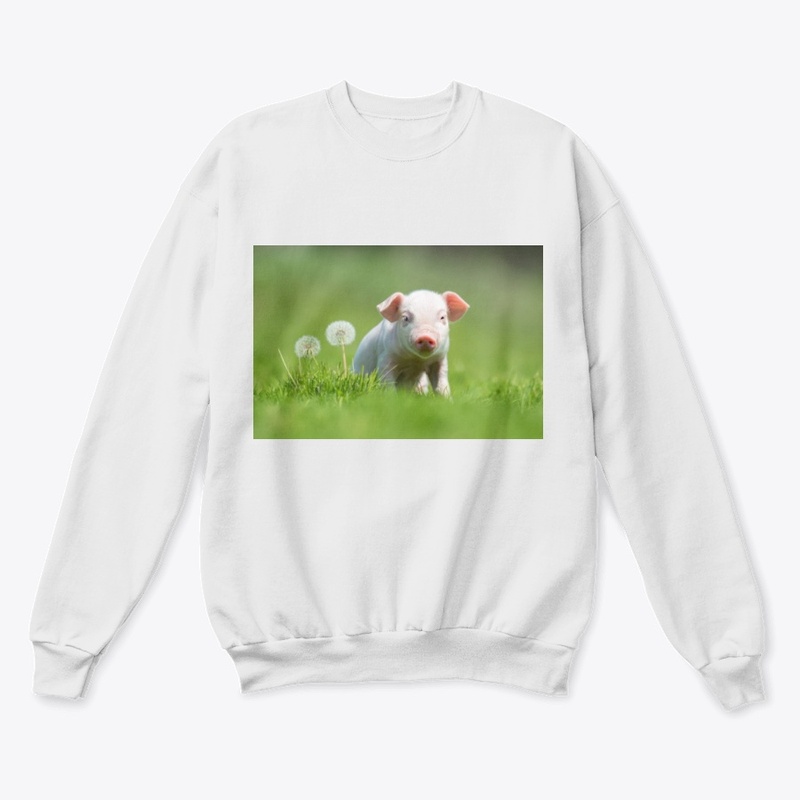 Pig  picture  design