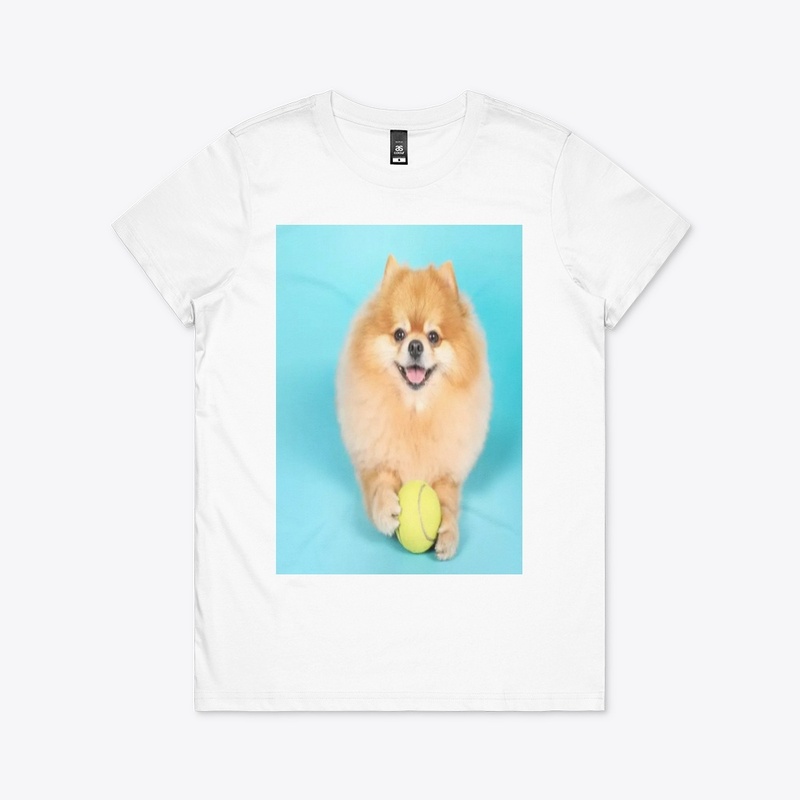 cute dog
