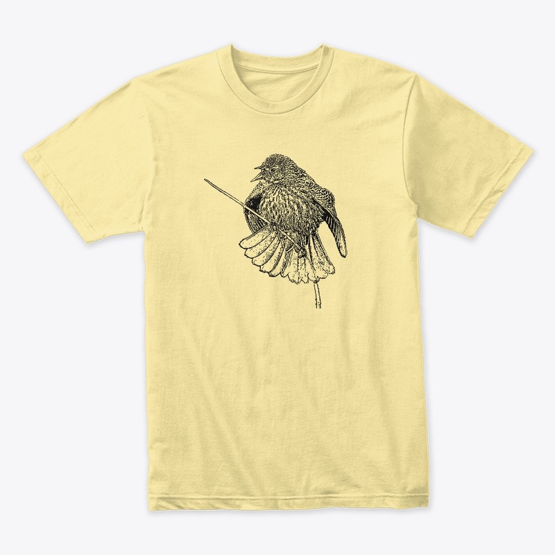 Red-winged Blackbird
