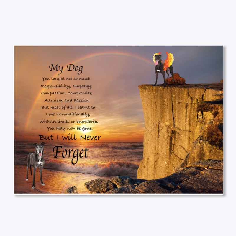 memories of my greyhound dog