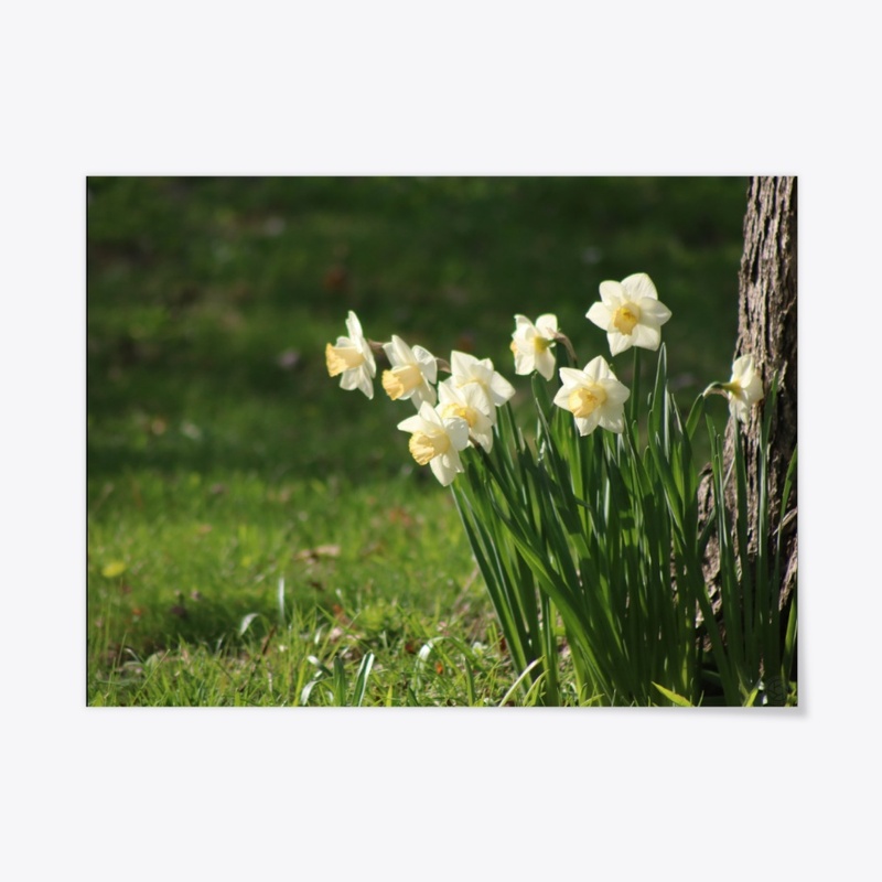 Flowers 6
