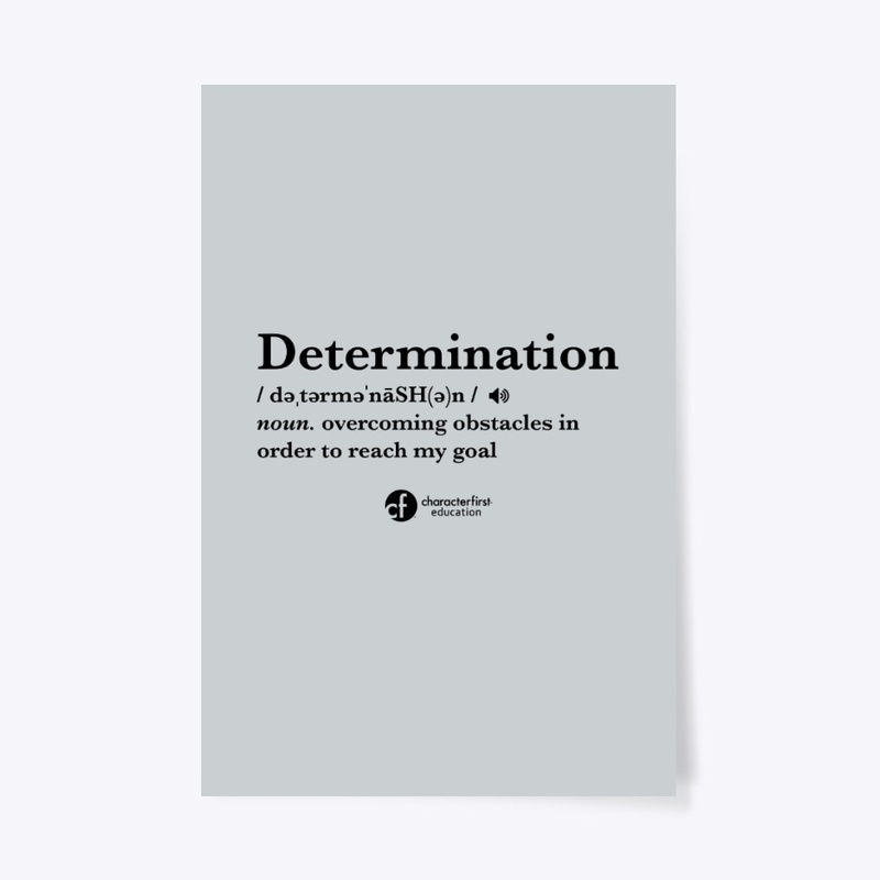 Determination Definition