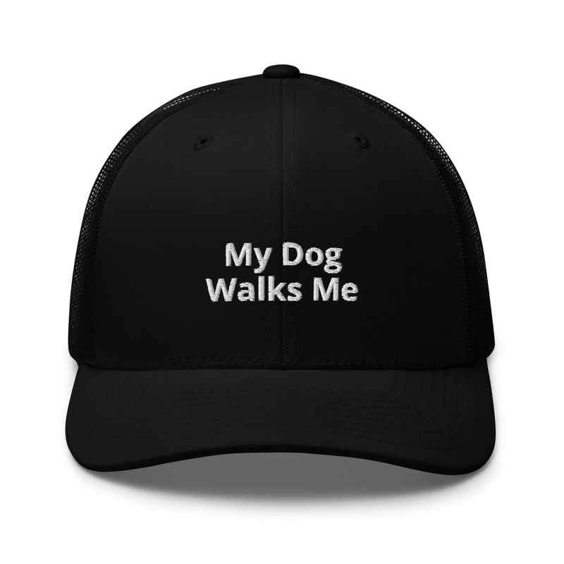 My Dog Walks Me
