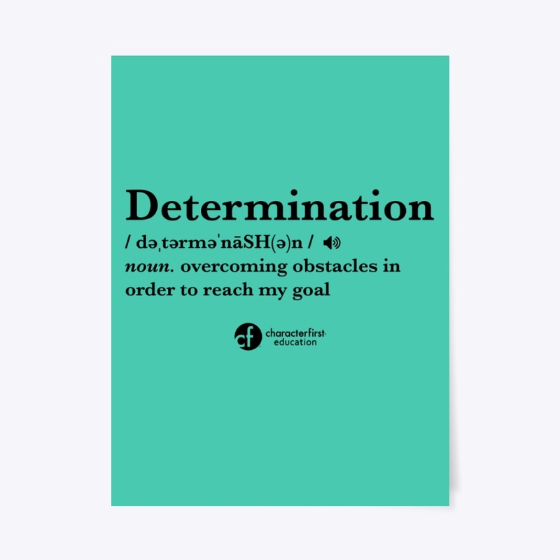 Determination Definition