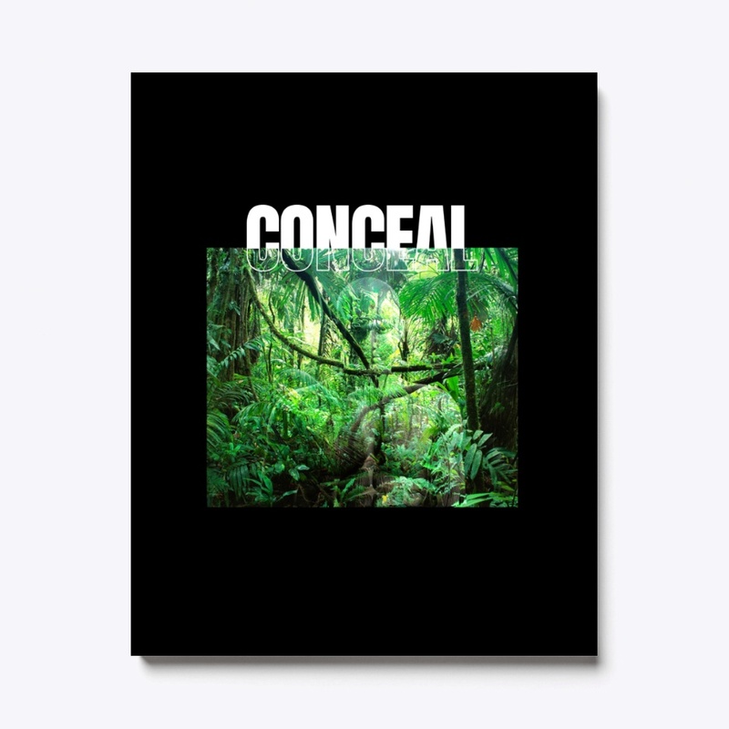 Conceal - The art of blending In