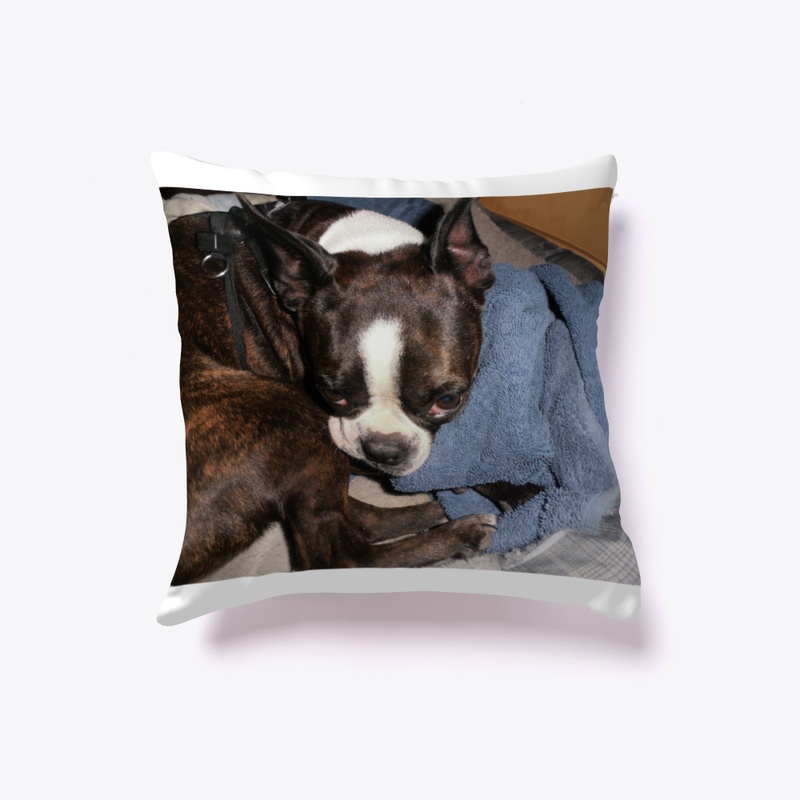 Boston terrier pillow