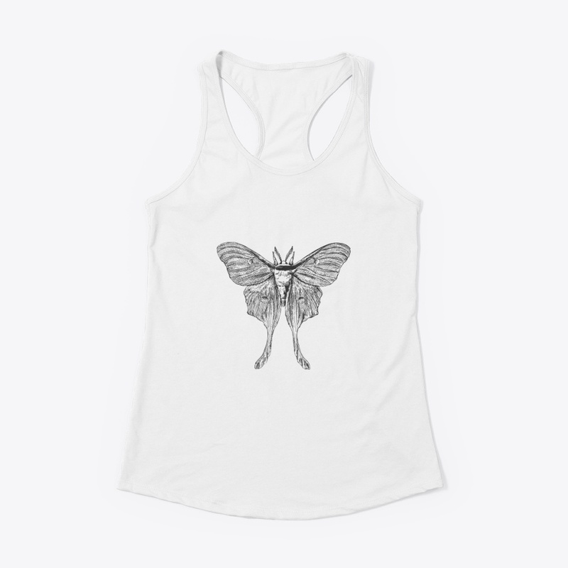Moth