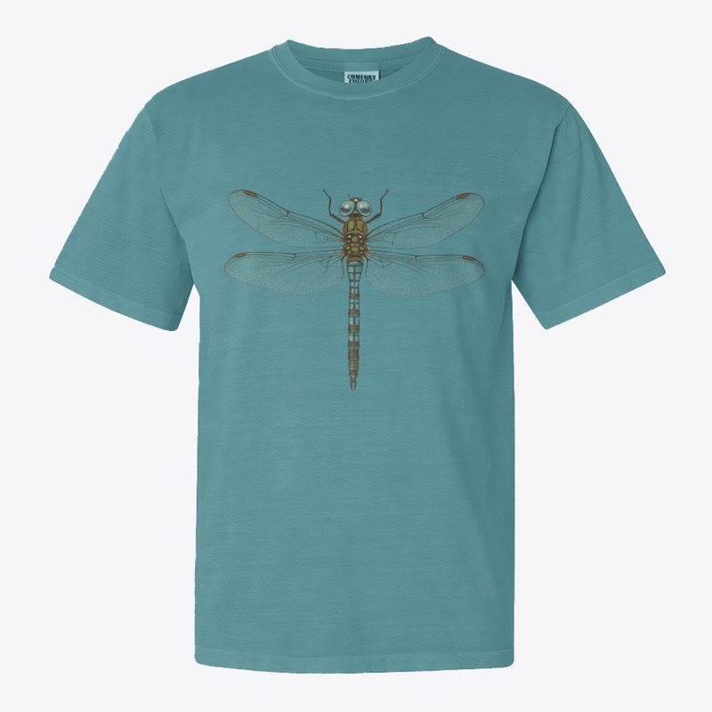 Dragonfly
