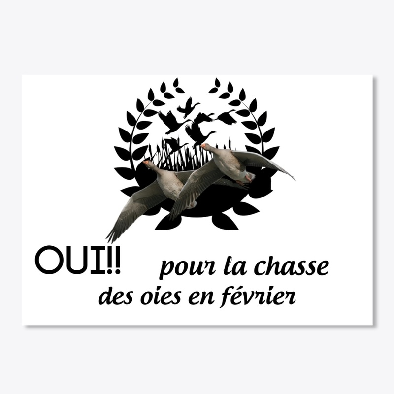 Chasse des oies en février 