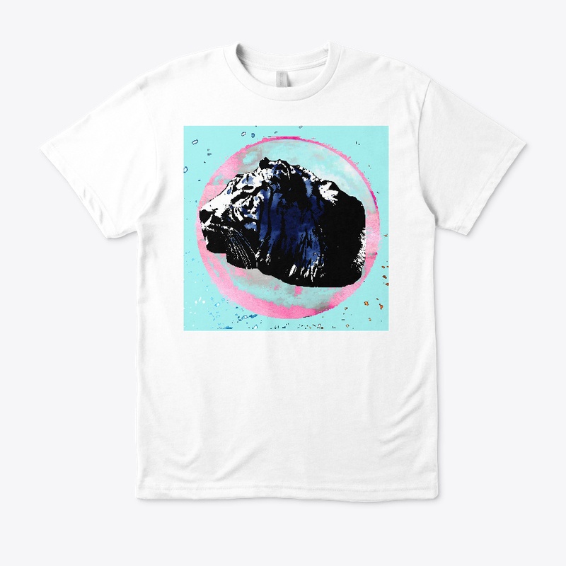 Pink Side of the Moon